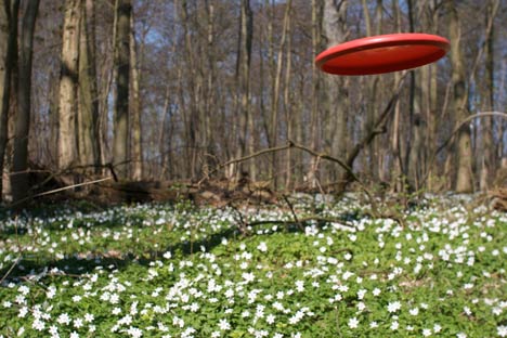 Frisbeescheibe frisbee discgolf