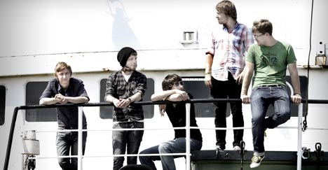 katzenposter468 minitimer katzenposter