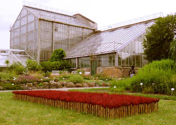 Ulrich Fischers Installation "Teppich" bei der Greifswalder Ausstellung "In Pflanzgesellschaft" in pflanzengesellschaft greifswald