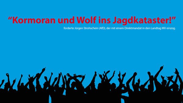 AfD Mecklenburg-Vorpommern Landtagswahl jürgen strohschein afd mv