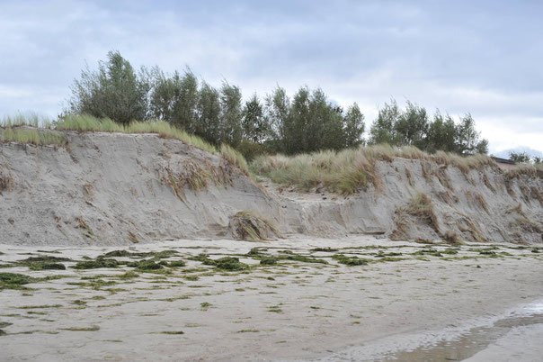 Küstenlandschaft