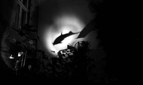 garten-conclusus468 hortes conclusus