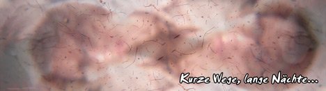 kwln3468 kurze wege lange nächte 11