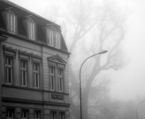 hidden-vogelhaus greifswald haus
