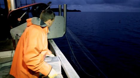 fischer-lange freest fischer