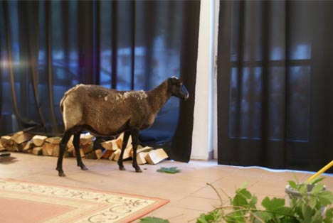 westendactionheroes-performance468 performance greifswald