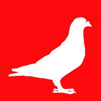 pollyfaber polly faber greifswald