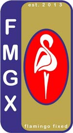 fmgx-logo150 FMGX Logo