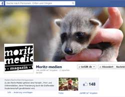 Moritz Medien Waschbaer Facebookseite Moritz Medien Greifswald