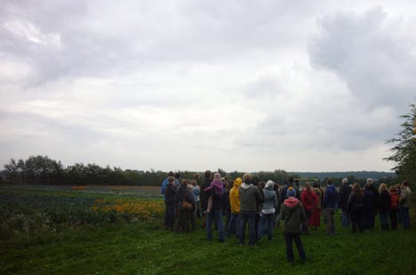 solidarische landwirtschaft ernte468 Solidarische Landwirtschaft Ernte