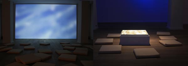 Installation im Pommersches Landesmuseum