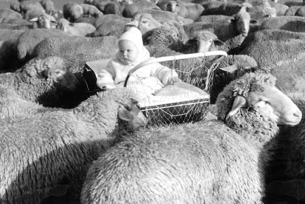 Kita Betreuungsschlüssel Betreuungsscshlüssel