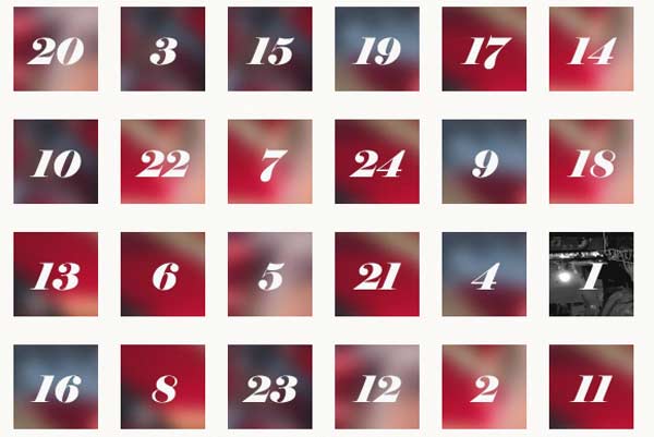 Rakkoonkalender adventskalender rakkoon greifswald