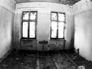 Das Quarks zwischen Auszug und Abriss