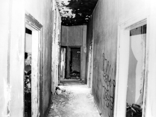 Das Quarks zwischen Auszug und Abriss