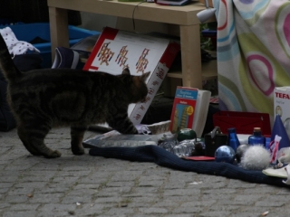 Fleischervorstadt-Flohmarkt 2014