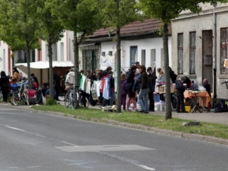 Fleischervorstadt-Flohmarkt 2014