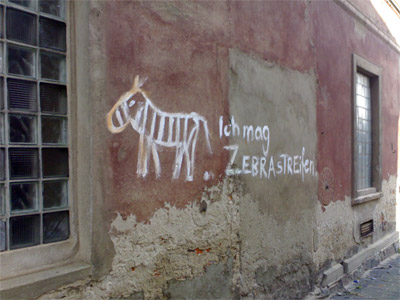zebra greifswald